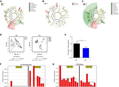 Microbial Composition and Co-occurrence Patterns in the Gut Microbial Community of Normal and Obese Mice in Response to Astaxanthin